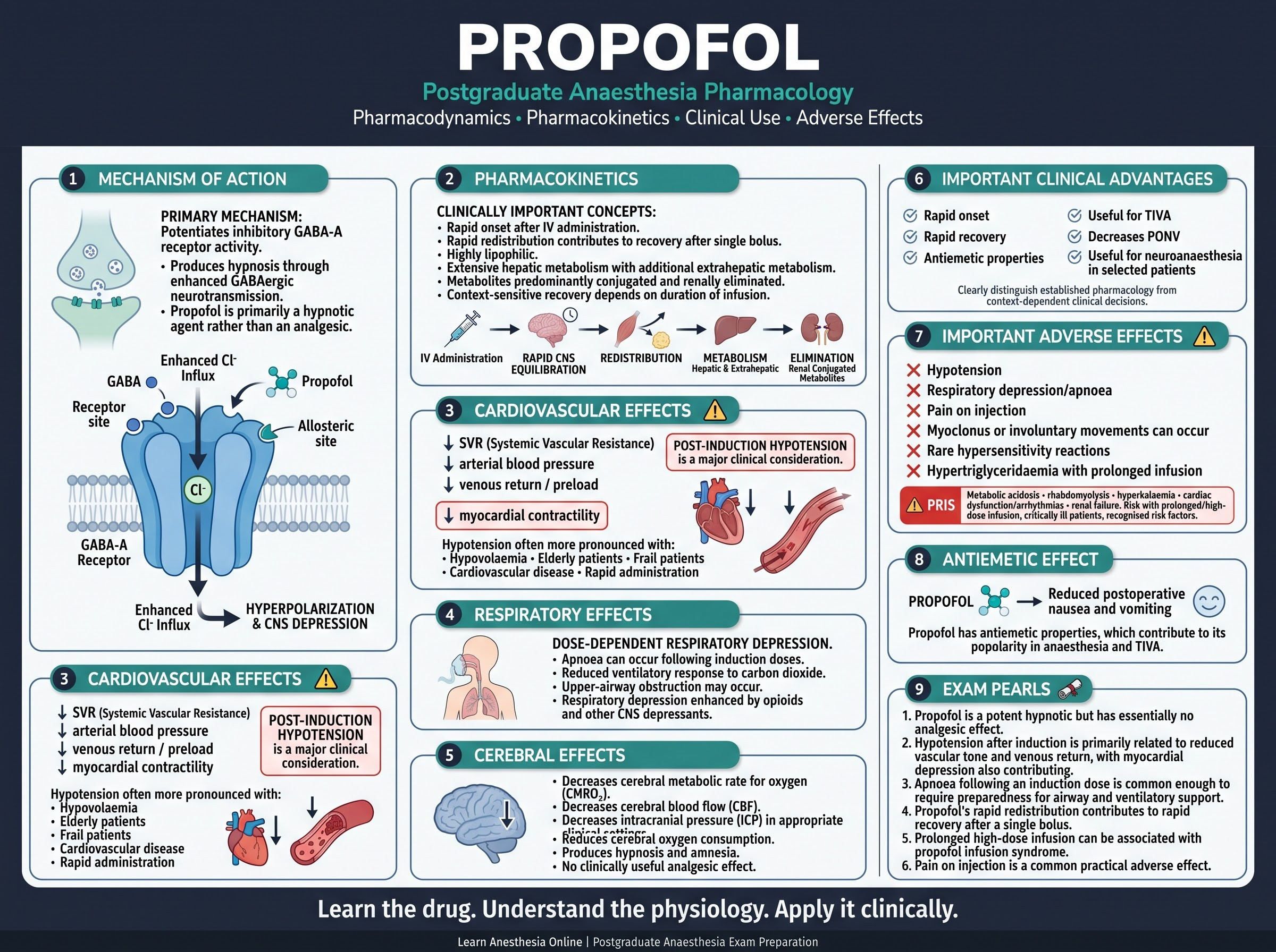 Propofol MOA